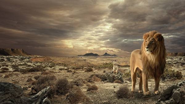 Photograph Dusan Holovej African Tales on One Eyeland